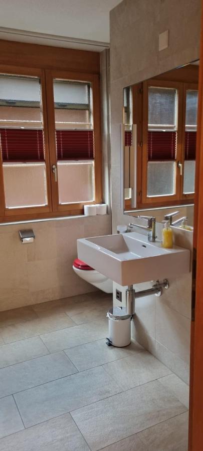 Sofia Apartment - Aare Jungfrau Ag Wilderswil Luaran gambar