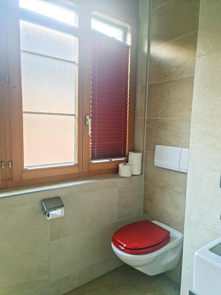 Sofia Apartment - Aare Jungfrau Ag Wilderswil Luaran gambar