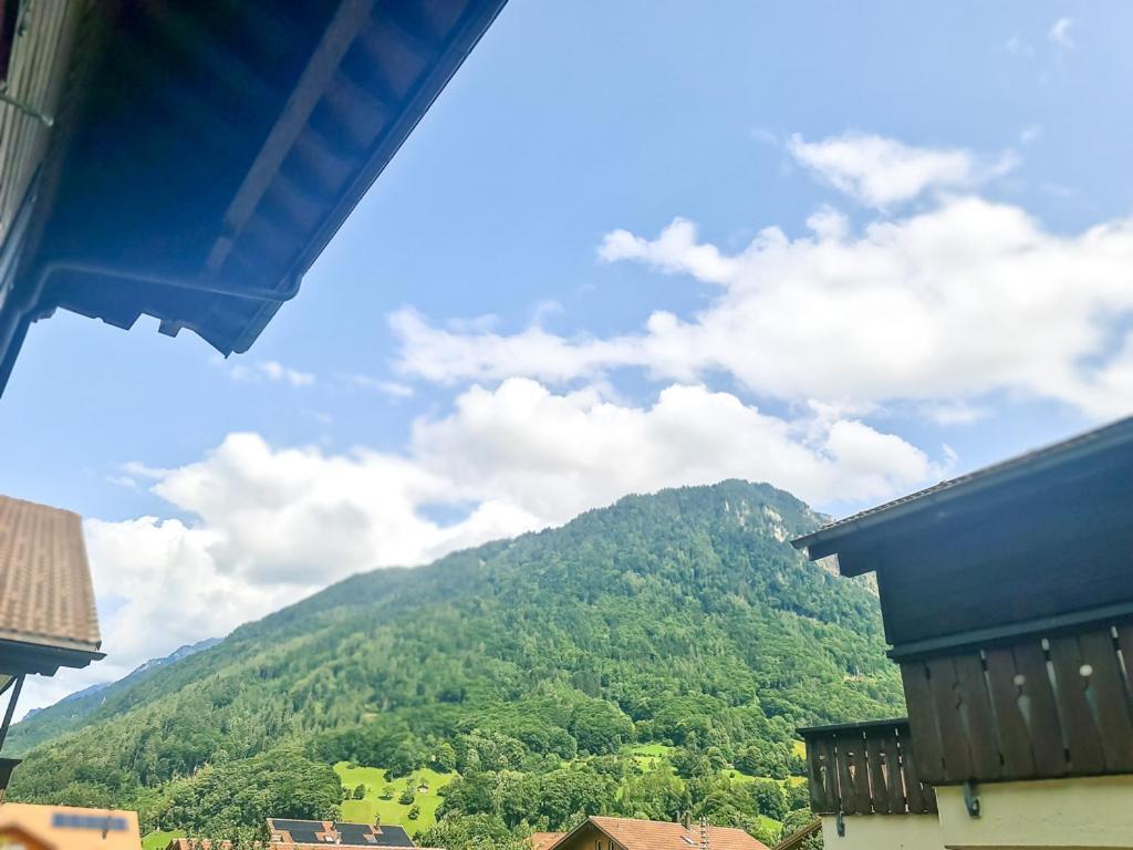 Sofia Apartment - Aare Jungfrau Ag Wilderswil Luaran gambar